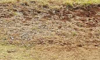 Imagem 2: Terreno em Condomínio a Venda