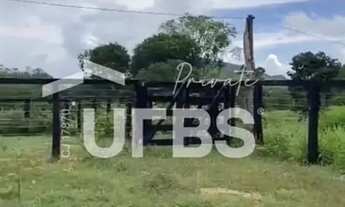 Imagem 6: Fazenda, Municipio Vila Propicio, 535 alqueires, podendo dividir e fechar apenas 300 alque