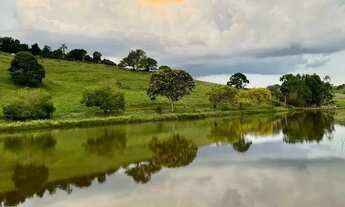Imagem 3: FAZENDA DE ALTO PADRÃO 729 HECTARES MINAS GERAIS