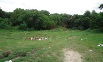 Imagem 4: Terreno bairro Vera Crus com 1566 m²