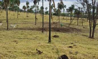 Imagem 3: Oportunidade Única! Fazendinha à Venda em Araçu/GO 21 Alqueires