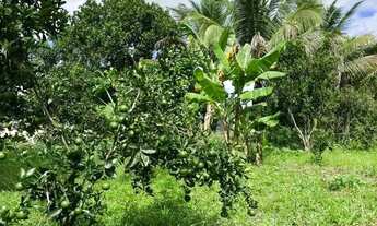 Imagem 5: Sítio para Venda em Flexeiras, Zona Rural, 3 dormitórios, 1 banheiro, 1 vaga