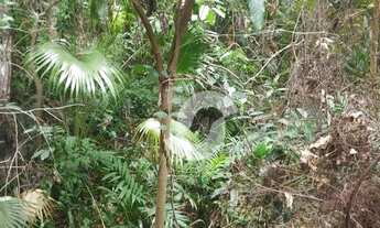 Imagem 7: Terreno à venda, 550 m² por R$ 650.000,00 - Pendotiba - Niterói/RJ