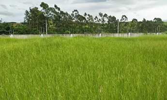 Imagem: Oportunidade terreno de 250m2 Condominio