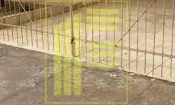 Imagem: Casa para alugar na Vila Elmaz com 3 quartos