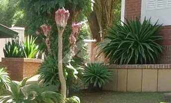 Imagem 6: Chácara - Dos Silvas - Morungaba - Morungaba