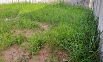 Imagem 4: Terreno na ponta da fruta