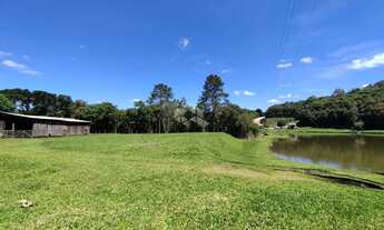 Imagem 4: Propriedade Rural de 3,95 Hectares