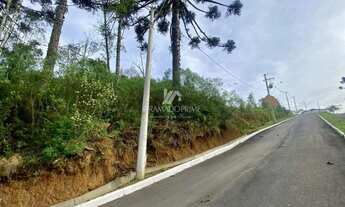 Imagem 5: TERRENO RESIDENCIAL EM LOTEAMENTO - GRAMADO