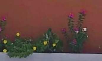 Imagem 3: PARTICULAR,SOMENTE ÁGIO