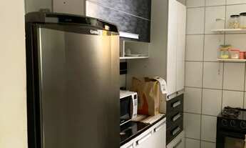 Imagem 6: Mata atlântica 2