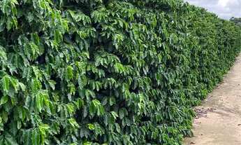 Imagem: Oportunidade Única! Propriedade com Estrutura