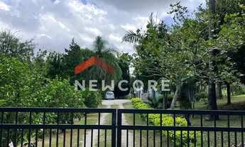 Imagem 6: Sítio em Rua Principal - Distrito Vila Nova - Pelotas/RS