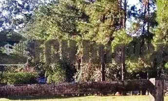 Imagem 5: Haras no Chapadão em Porto Feliz