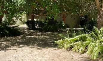 Imagem 3: Imóvel para venda com 4354 metros quadrados com 3 quartos em Vale Quem Tem - Teresina - PI