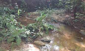 Imagem 5: Chácaras de 3mil mt com córrego nao perca essa oportunidade!