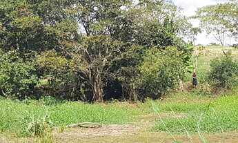 Imagem 5: Chácara com 7mil metros² em terreno