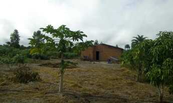 Imagem 3: FAZENDA IPIRA 109 TAREFAS OPORTUNIDADE 280