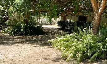 Imagem 5: Imóvel para venda com 4354 metros quadrados com 3 quartos em Vale Quem Tem - Teresina - PI