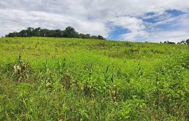 Imagem 6: Terrenos em Ibiúna com acesso facilitado e potencial para realizar seu projeto