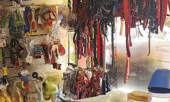 Imagem 4: Passa o ponto pet shop em pirituba!!