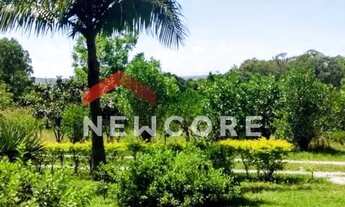 Imagem 5: Sítio em Rua Principal - Distrito Vila Nova - Pelotas/RS