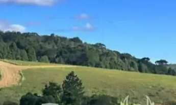 Imagem 5: Casa de condomínio para venda possui 500 metros quadrados