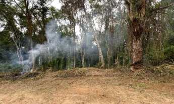 Imagem 3: Vendo lote de 361,59M² com simples acesso a repressa - Loteamento Saveiros