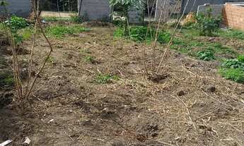 Imagem 5: Oportunidade, terreno em Seropédica preço bom