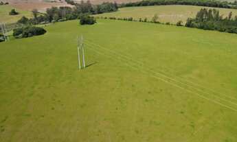 Imagem: Venda. Área 55 hectares. Localizada em