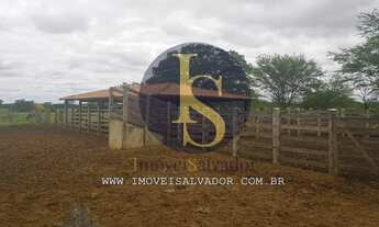 Imagem: Fazenda à venda Excelente para Criação