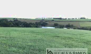 Imagem 2: Haras para venda tem 500 metros quadrados com 5 quartos em Zona Rural - Tietê - SP