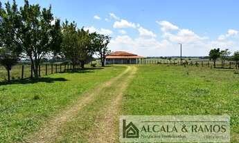 Imagem: Haras para venda tem 800 metros quadrados