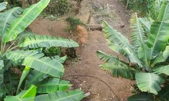 Imagem 5: Oportunidade!!! Terreno Horto Florestal com 1.385m²