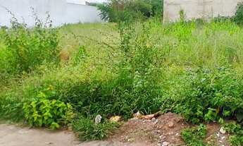 Imagem 4: Terreno Padrão em Caruaru