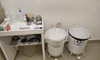 Imagem 6: Sala - Centro - Campinas