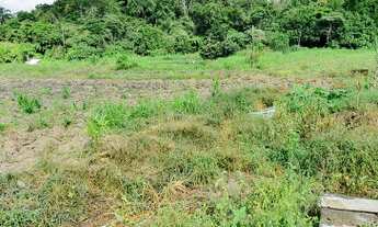 Imagem 5: Vendo -Sitio 48.000m2 no asfalto em Mogi das Cruzes