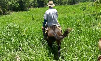 Imagem 6: Fazenda a venda com 113 hectares Zona Rural - Acorizal - MT