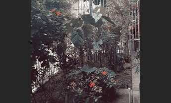 Imagem: Kitnet/conjugado para aluguel em Flamengo