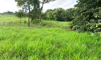 Imagem: Fazenda 13.5 alqueires em Paraíso do Tocantins