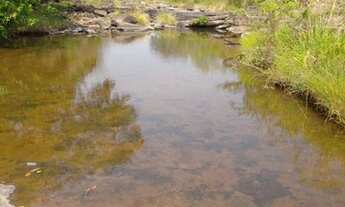 Imagem: Fazenda 900 hectares a venda em Várzea