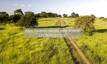 Imagem 4: Haras com Redondel Pista e Baias em Condomínio com Segurança e Lazer