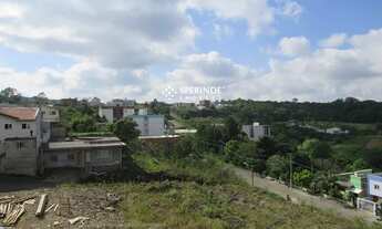 Imagem 6: Locação Apartamento CAXIAS DO SUL RS Brasil