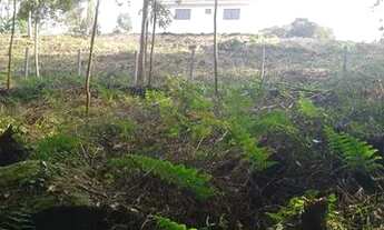 Imagem 7: Chácara para lazer no campo