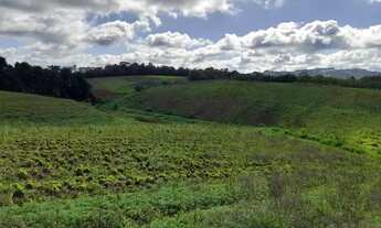 Imagem 2: Lote/Terreno para venda possui 500 metros quadrados em Centro - Cotia - SP