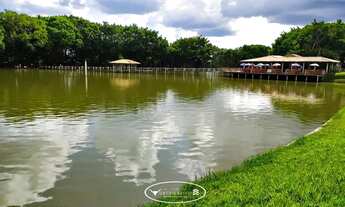 Imagem 4: À venda ! Pesqueiro - 30.000m² - Oportunidade de Investimento !