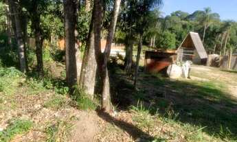 Imagem 5: Vendo terreno no 250 metros 10 x 25