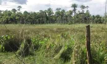 Imagem: Vendo terreno no km12