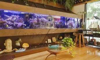 Imagem 5: Casa Comercial / Residencial em São Paulo