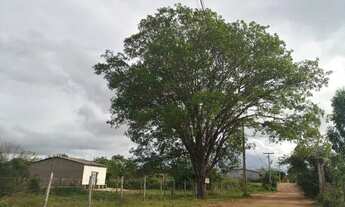Imagem 3: Lote/Terreno Vivenda Campo das Flores